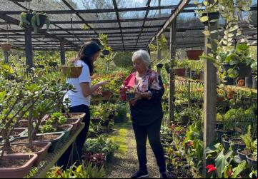 O setor de floricultura fluminense prevê um aumento de até 8% nas vendas de flores, em comparação ao ano de 2024. Foto: Divulgação